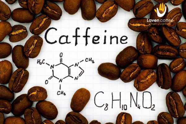 Cafein là gì? Lợi ích và tác hại của cafein